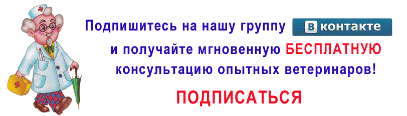 Подписаться на группу ВКонтакте Бесплатная онлайн-консультация