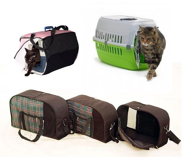 Необходимые предметы для котенка | Royal Canin UA
