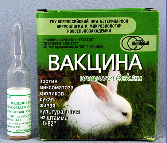 Ассоциированная вакцина против ВГБК и миксоматоза (Россия)