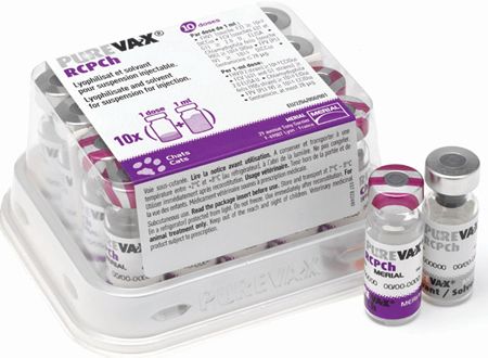 Вакцинация кошек Пуревакс РЦП(Purevax RCP)
